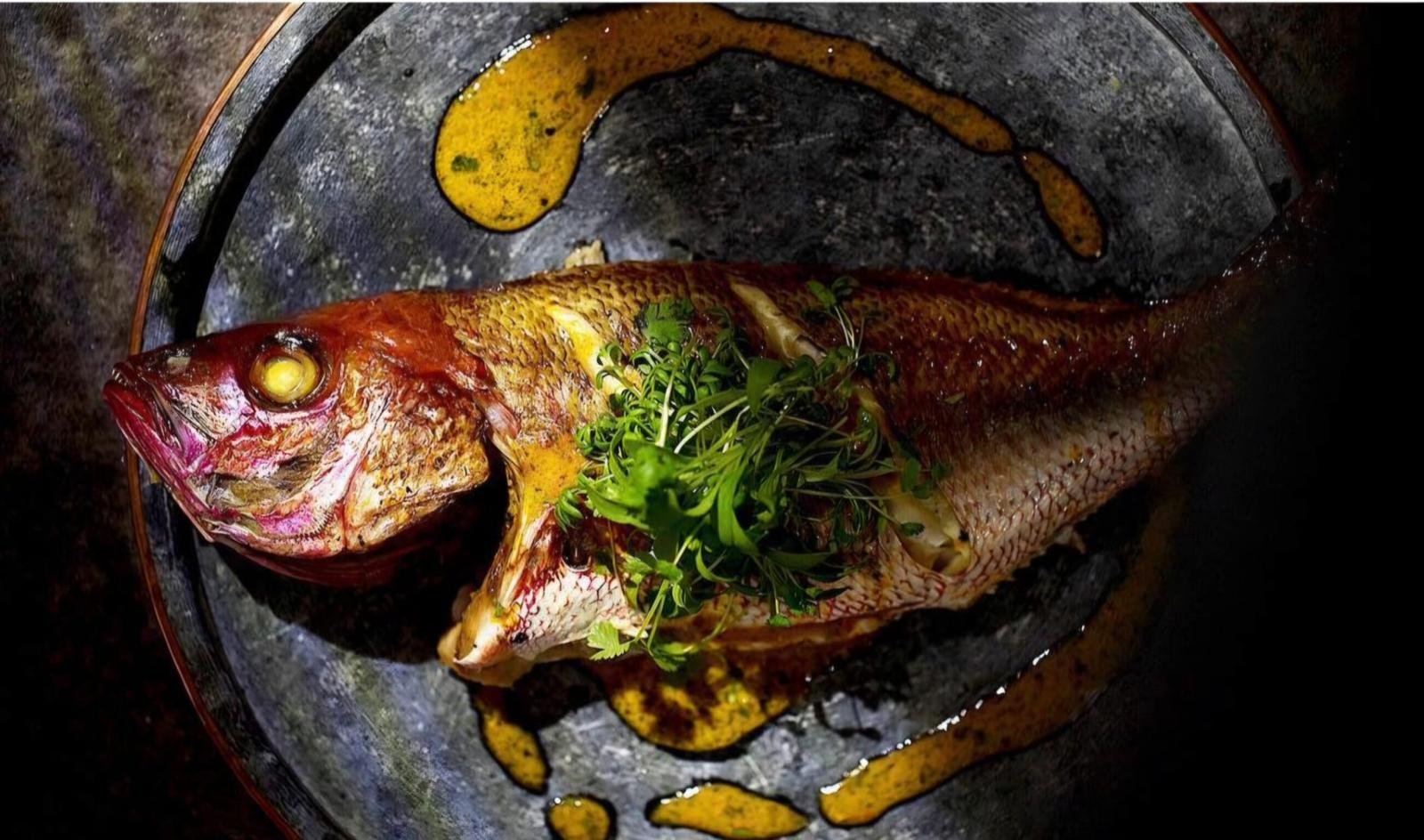 Whole roasted red snapper on a dark plate with herb oil and fresh cilantro